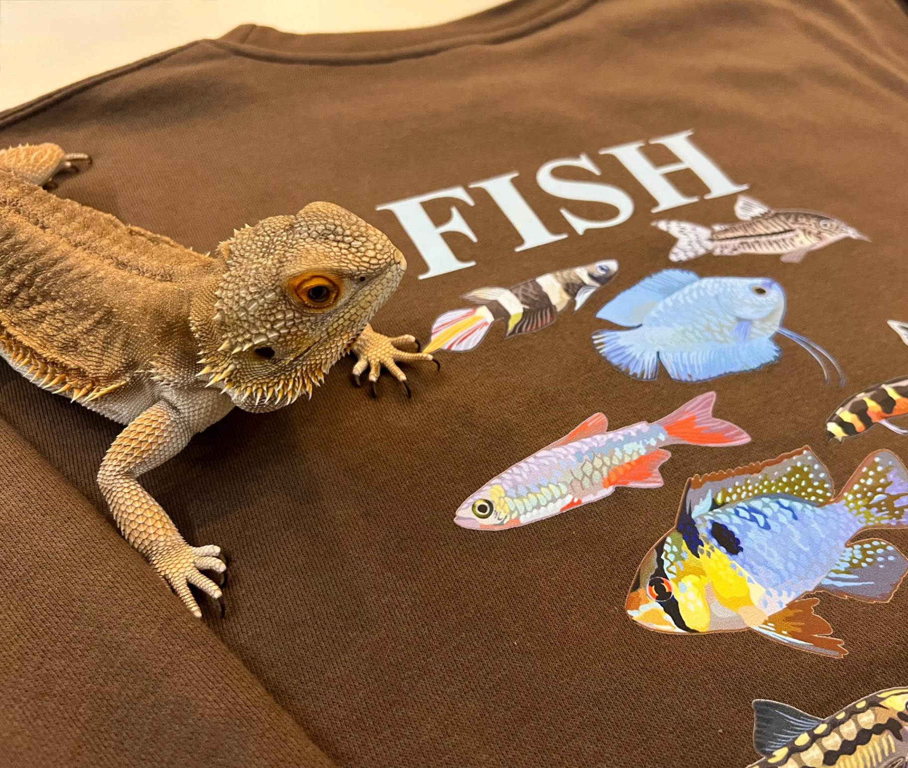 Bearded dragon on Fish Crewneck