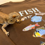 Fish Crewneck view 3